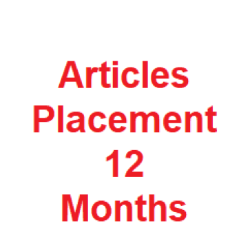  Articles Placement 12 months 