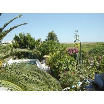  Lovely Cottage in Ria Formosa-Fuzeta-Moncarapacho 